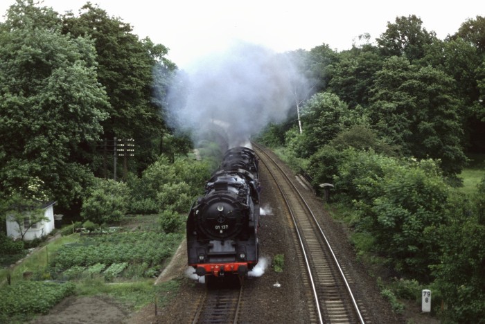 01&nbsp;137 + 03&nbsp;001 vor Sonderzug an der Einfahrt von Arnsdorf, 19.06.1982