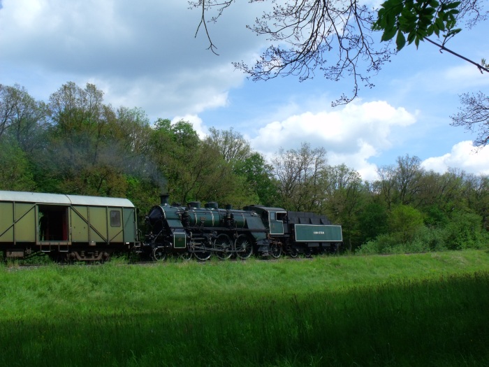 3673 Tv mit Zug BYB 79647 Gunzenhausen&rarr;Nördlingen südlich von Wassertrüdingen, um 15:21h am 01.06.2019
