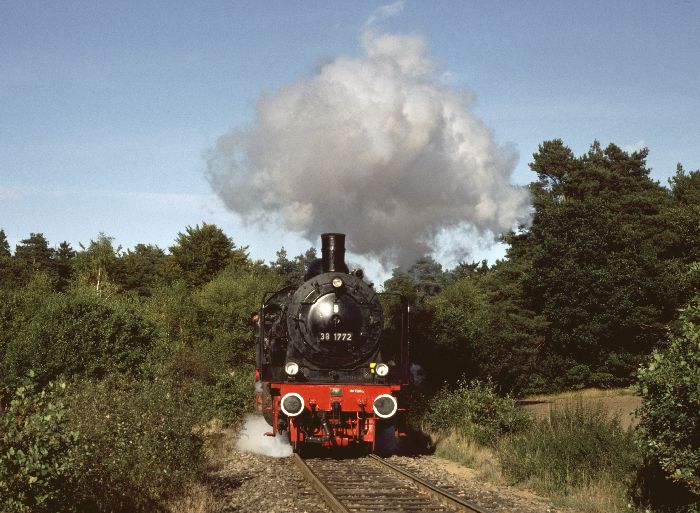 38&nbsp;1772 mit Zug Buxtehude-Harsefeld, fotografiert hinterm Haltepunkt Birkenhain (hinter Buxtehude), um 14:55h am 04.10.1986