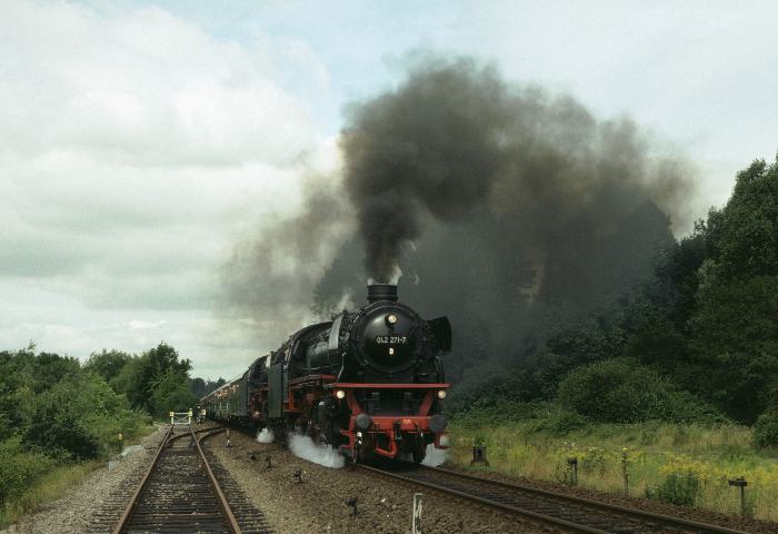 042&nbsp;271 + 01&nbsp;1100 mit Sonderzug bei Kronsburg, 07.08.1993