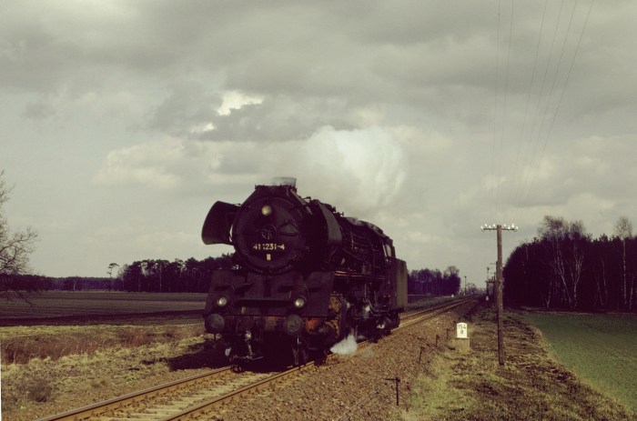 41&nbsp;1231 Lz bei Lenz Richtung Oebisfelde, 29.03.1983