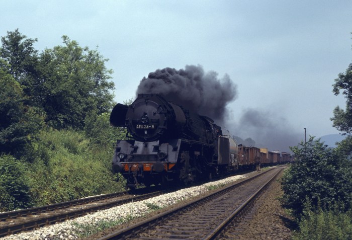 41&nbsp;1125 mit Dg nach Saalfeld bei Großpürschütz, um 14:07h am 10.07.1986