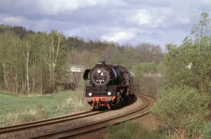 41&nbsp;1144 Sonderzug Tschechien->Leipzig hinter Adorf, 05.05.2005