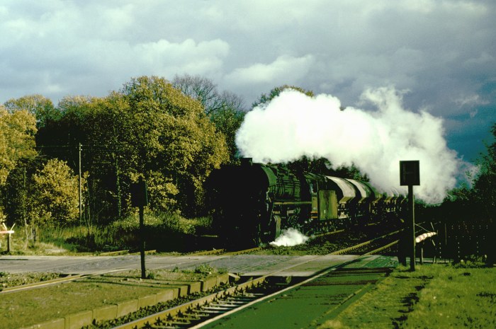 44&nbsp;0453 Güterzug Nauen->Wittenberge Durchfahrt Bad Wilsnack, 07.11.1981