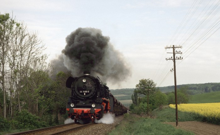 44&nbsp;1486 mit Lg&nbsp;60139 bei Gorsleben, 05.05.1993