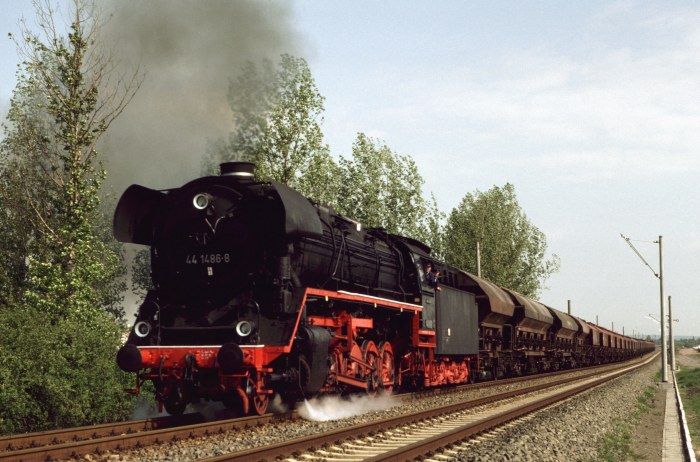 44&nbsp;1486 mit Lg&nbsp;60139 bei Sömmerda, 05.05.1993