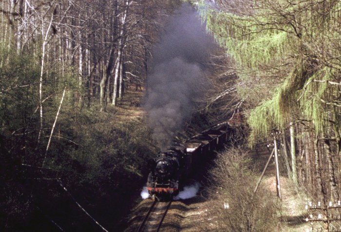 44&nbsp;0601 mit schwerem Sand + Kohle Richtung Triptis, fotografiert vom Tunnelportal aus im Wald vorm Oppurger Tunnel, um 11:08h am 11.04.1981