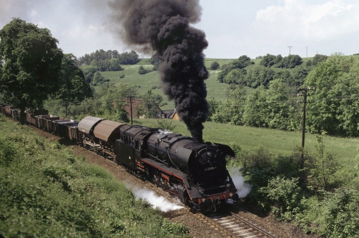 44&nbsp;0305 mit Ng ->Gera  am Orla-Tal vor Neunhofen, am 30.05.1981