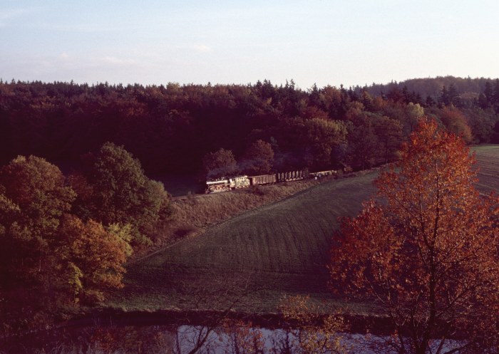 44&nbsp;0093 mit Güterzug nach Eisenach vor Förtha talfahrend, am 29.10.1999