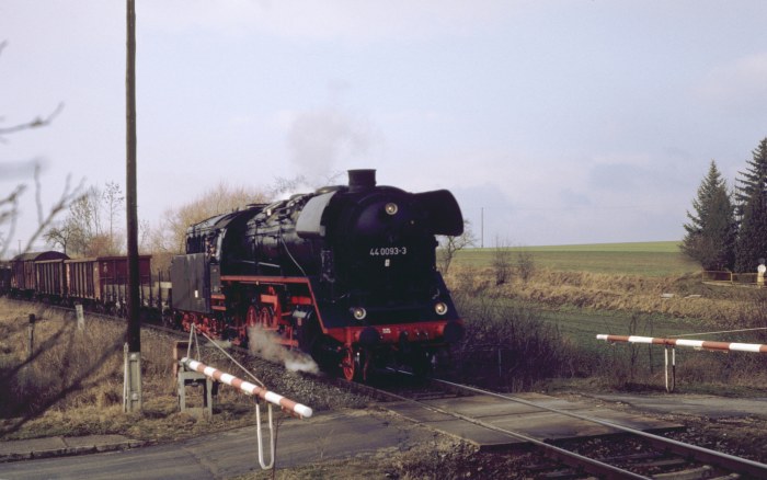44&nbsp;0093 mit DNG&nbsp;80159 bei Niederspier, am 20.02.2000