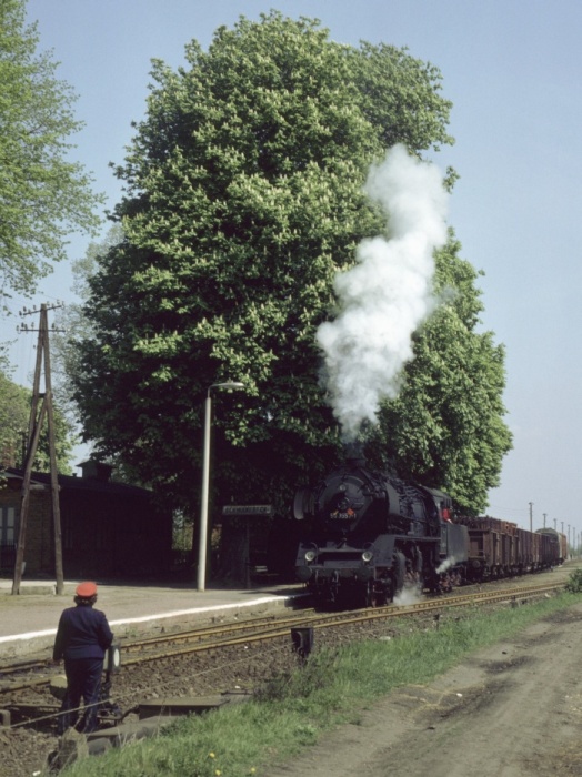 50&nbsp;3557 Rangieren mit Ng&nbsp;64784 in Schwanebeck, 11:45h am 09.05.1982