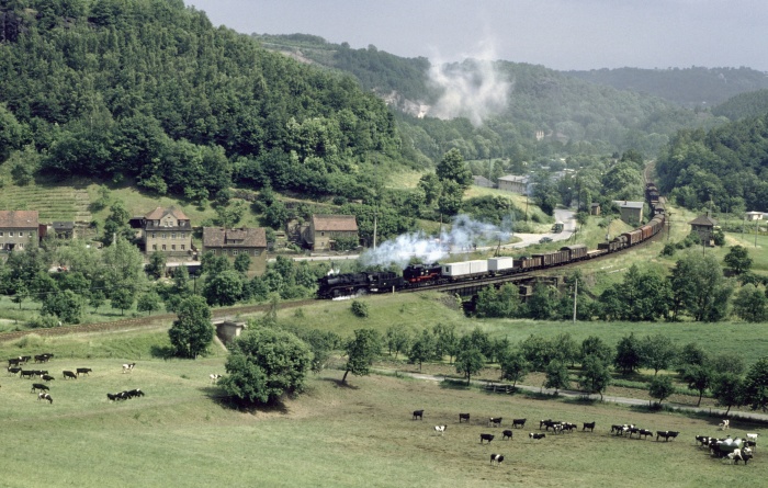 50&nbsp;3551 mit Gz Meißen->Nossen bei Garsebach, 15.06.1982