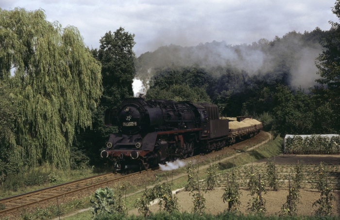 50&nbsp;3523 mit Sandzug Einfahrt Lunzenau, 08.09.1983