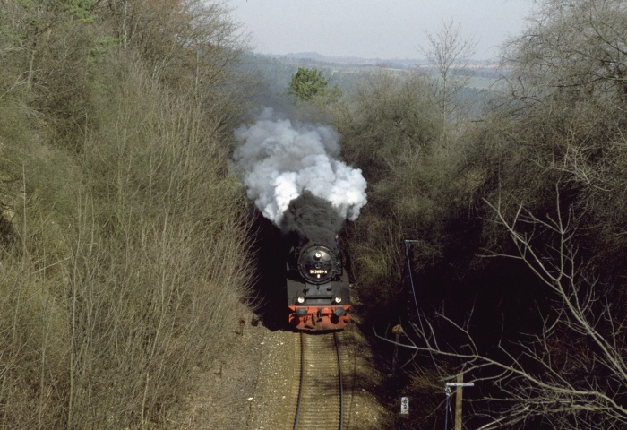 50&nbsp;3688 mit N&nbsp;14719 vor Martinroda, 23.03.1995