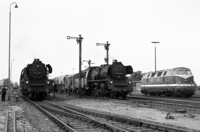 50&nbsp;4038 und 50&nbsp;4082 neben 118 116 in Büchen, Juli 1974