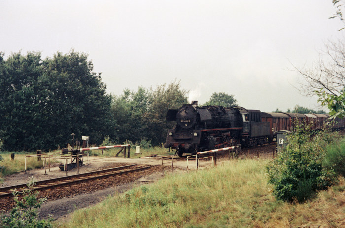 50&nbsp;4082 Güterzug Richtung Schwanheide hinter Büchen, August 1974