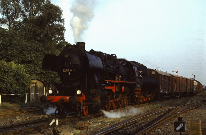 52&nbsp;8144 mit Güterzug Ausfahrt Haldensleben, 14.09.1982