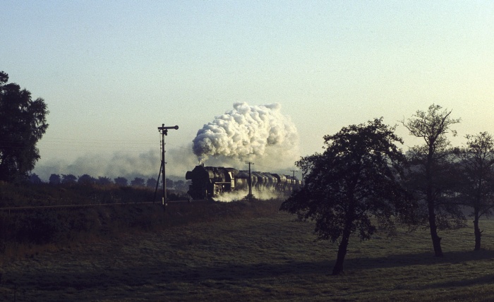 52&nbsp;8150 mit Güterzug nach Weferlingen bei Süplingen, 29.09.1982