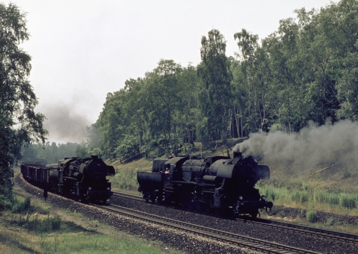 52&nbsp;8130 mit Gz aufwärts begegnet 52&nbsp;8130 Lz abwärts, im Wald bei Klotzsche, 17.07.1976