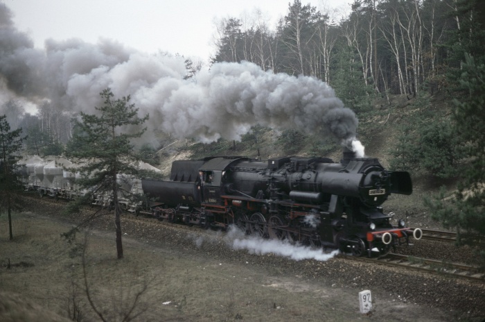 52&nbsp;8019 mit Güterzug aufwärts im Wald vor Dresden-Klotzsche, 12.03.1977