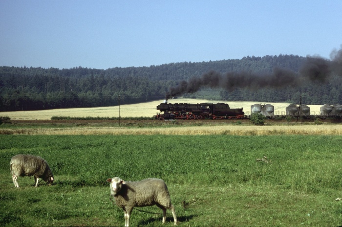52&nbsp;8124 mit Nahgüterzug bei Gelenau, 28.08.1980