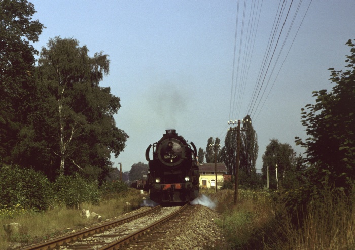 52&nbsp;8124 mit Gz ->Arnsdorf hinter Pulsnitz, 30.08.1981