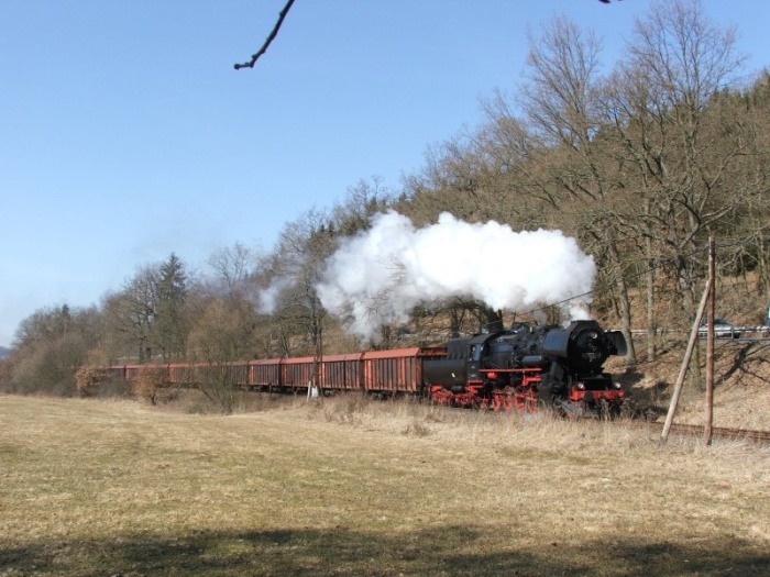 52&nbsp;8075 mit leerem Holzzug ->Schleusingen bei Kloster Veßra, April 2006