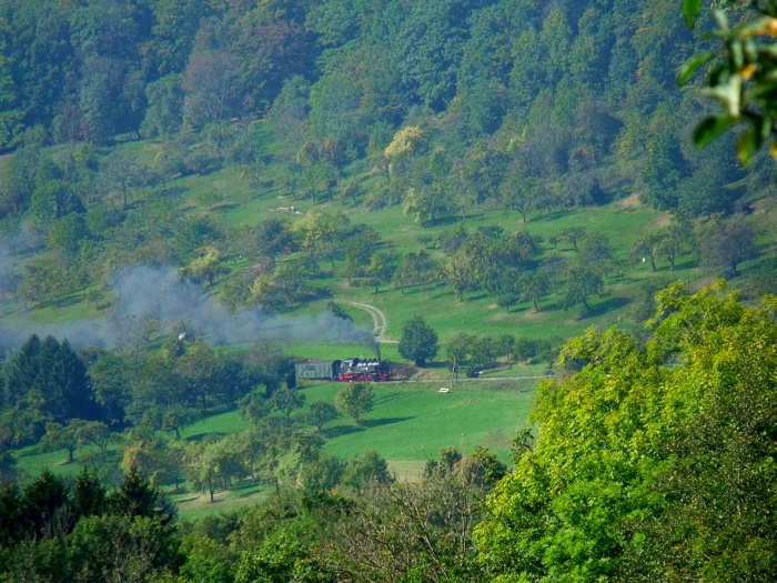64&nbsp;419 jetzt wieder mit Zug von Schorndorf nach Welzheim, am Hang oberhalb von Klaffenbach, fotografiert von Wiese am Strümpfelbachtal aus, um 13:37h am 02.10.2011