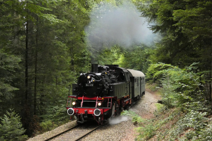 64&nbsp;419 vorm Zug nach Welzheim hinter Laufenmühle im Wald (km&nbsp;17,7), um 11:15h am 06.09.2020