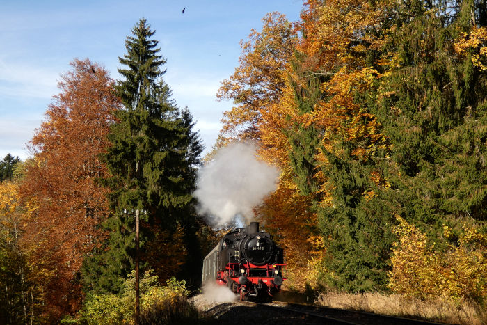 64&nbsp;419 als Stammlok auf der Schwäbischen Waldbahn vor Zug Schorndorf-Welzheim, fotografiert hinter Laufenmühle im Wald (bei km&nbsp;17,6), um 11:23h am 31.10.2021