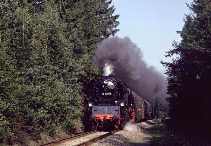 65&nbsp;1049 im Wald hinter Herlasgrün, am 09.09.1989