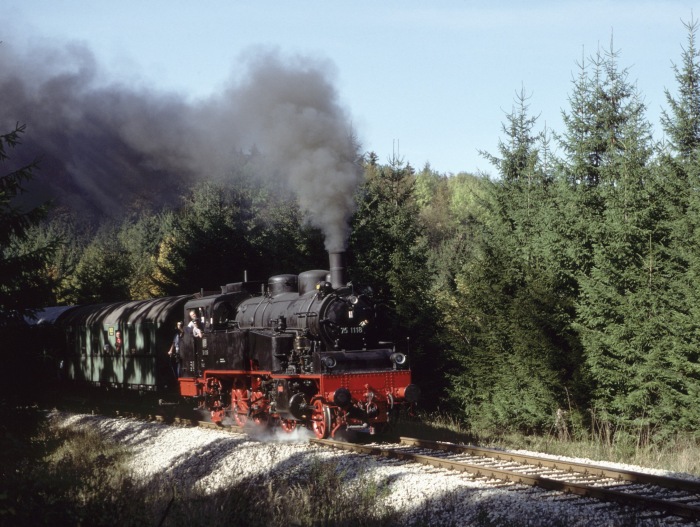 75&nbsp;1118 im Wald hinter Amstetten, am 08.10.1995