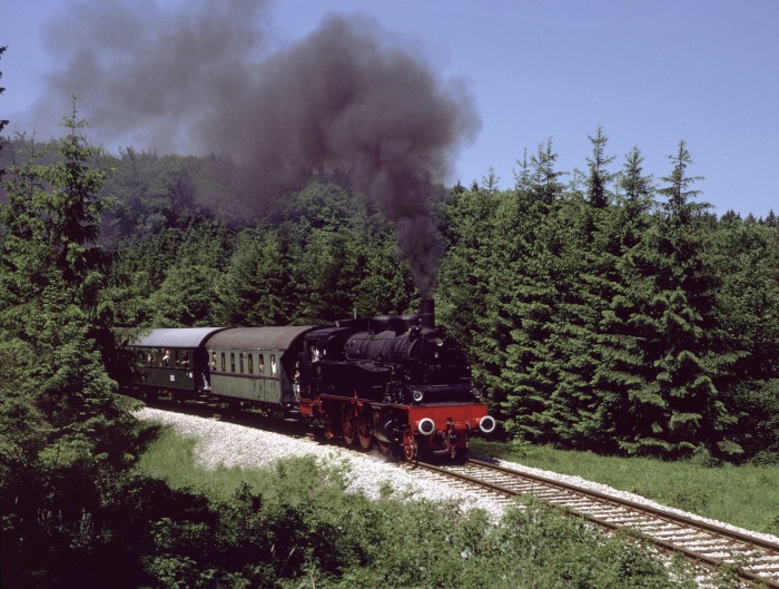 75&nbsp;1118 im Wald hinter Amstetten, am 15.06.1996