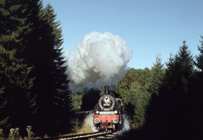 75&nbsp;1118 im Wald hinter Amstetten, am 05.10.1997