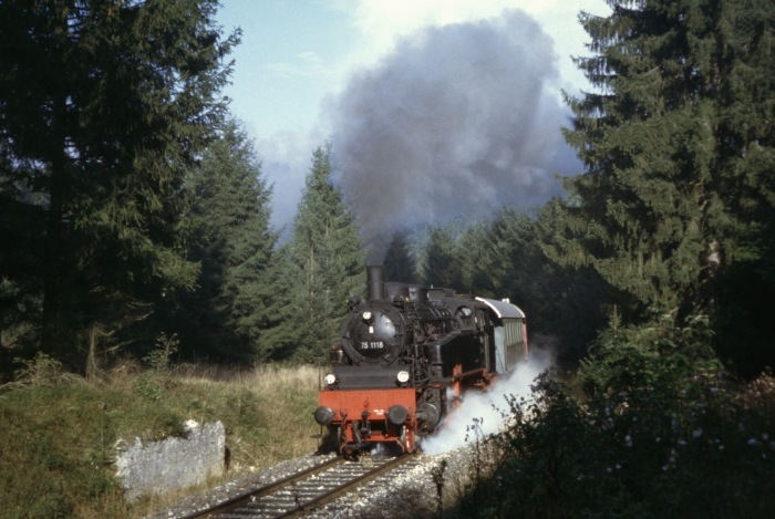 75&nbsp;1118 im Wald hinter Amstetten, am 25.09.2005