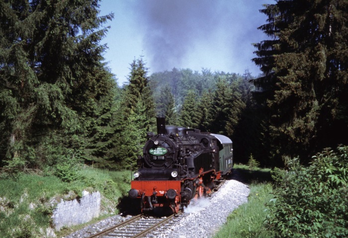 75&nbsp;1118 im Wald hinter Amstetten, am 11.06.2006