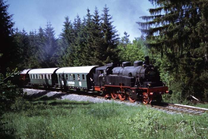 75&nbsp;1118 im Wald hinter Amstetten, am 11.06.2006