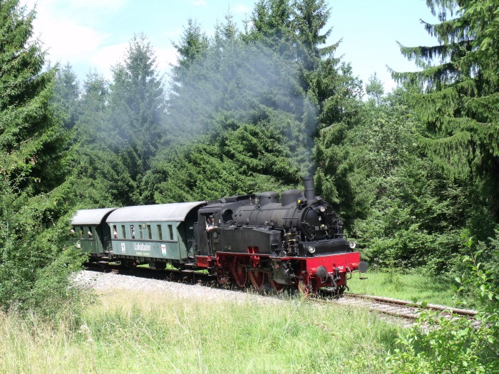 75&nbsp;1118 am selben Ort: im Wald hinter Amstetten, aber etwa 2 Jahre später: um 12:45h am 01.08.2010