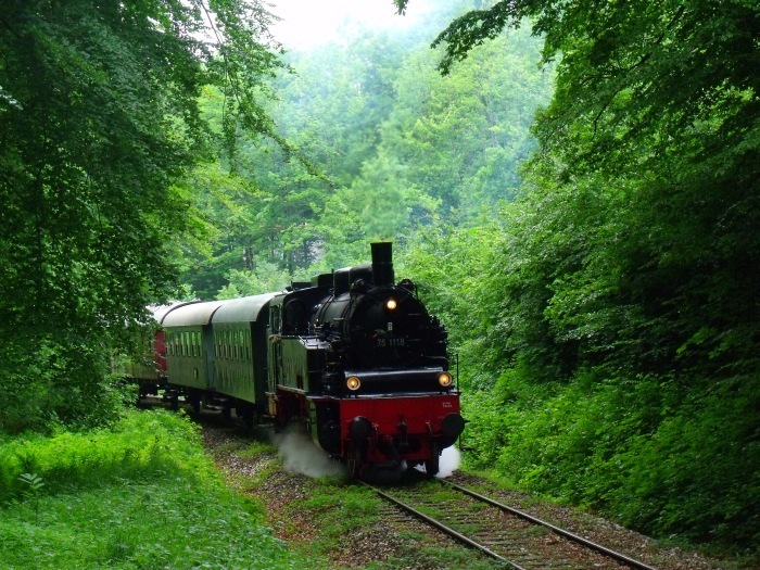 75&nbsp;1118 mit Zug nach Gerstetten, am Benzwang hinter Amstetten im Wald kurz vor Stubersheim, um 12:47h am 03.06.2012