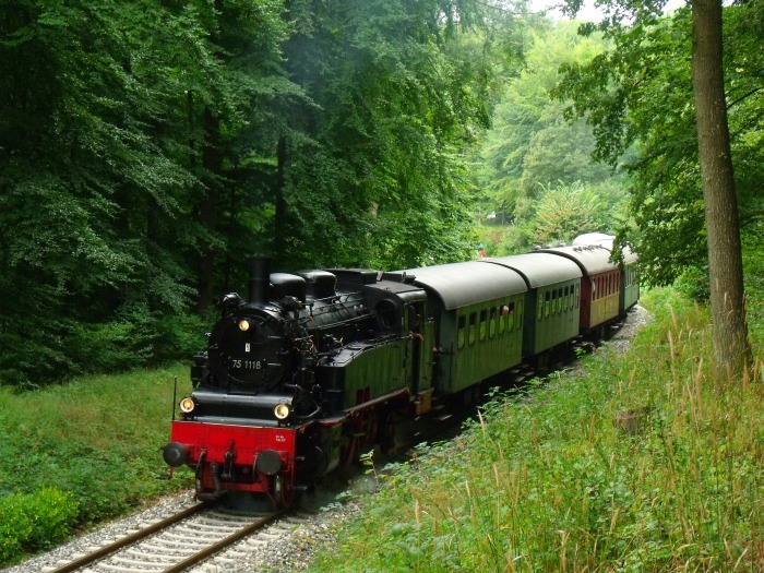 75&nbsp;1118 am oberen Benzwang, Steigung im Wald unterhalb von Stubersheim, um 15:48h am 04.09.2016