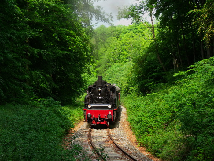 75&nbsp;1118 am oberen Benzwang, Steigung im Wald unterhalb von Stubersheim, um 9:59h am 10.05.2018