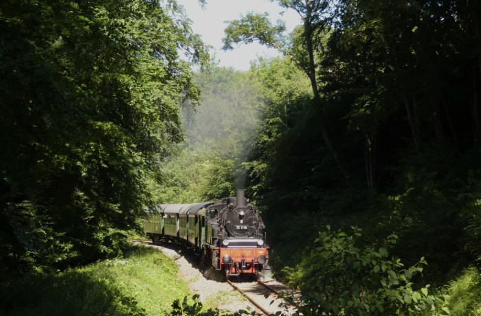 75&nbsp;1118 am oberen Benzwang, Steigung im Wald unterhalb von Stubersheim, um 9:54h am 21.06.2020