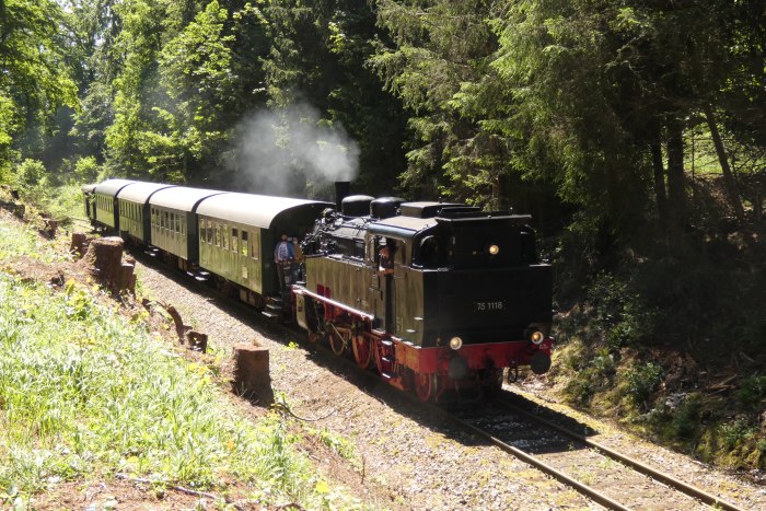 75&nbsp;1118&nbsp;Tv Richtung Amstetten abwärts im kleinen Einschnitt am unteren Benzwang nahe dem ex BW-Depot, um 11:56h am 21.06.2020