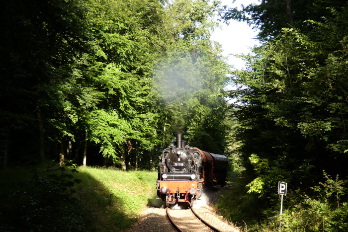 75&nbsp;1118 mit kurzem Güterzug (drei leere Schotter-Selbstentladewagen) am oberen Benzwang im Wald vor Stubersheim, um 8:24h am 09.07.2022