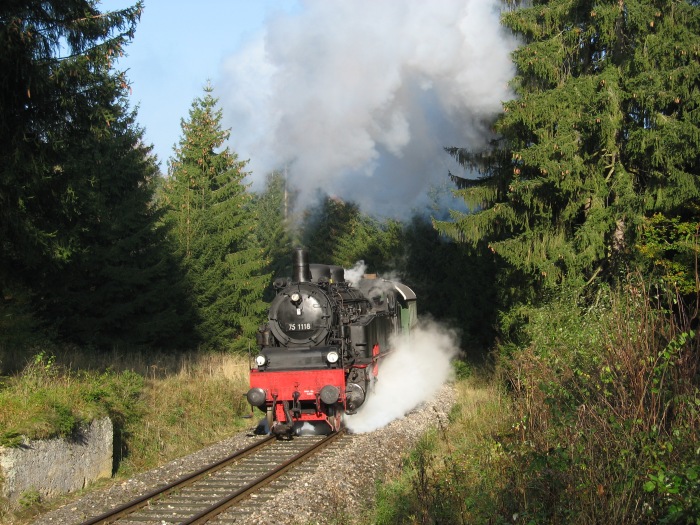 75&nbsp;1118 in der Steigung im Wald hinter Amstetten, am 07.10.2007