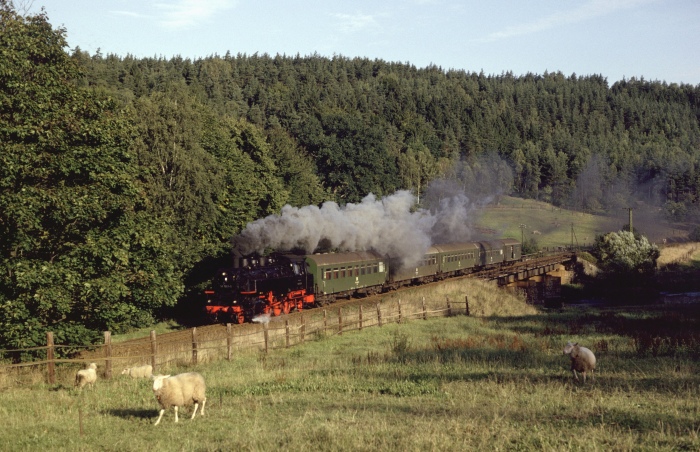 86&nbsp;501 Sonderzug bei Neumühle (Elstertal), am 22.09.1990
