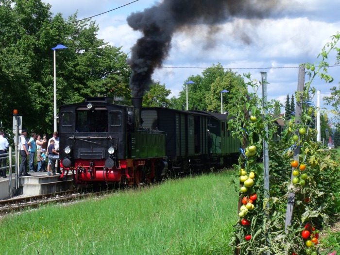 930&nbsp;Tv vor Sonderzug beim Halt in Linsenhofen, um ca.13:04h am 17.08.2014