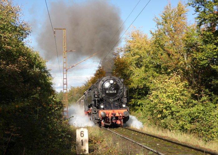 95&nbsp;027 mit Sonderzug auf der Rübelandbahn von Blankenburg kommend, im Wald in der Steigung oberhalb vom Spitzkehrenbahnhof Michaelstein, um 13:44h am 21.10.2023