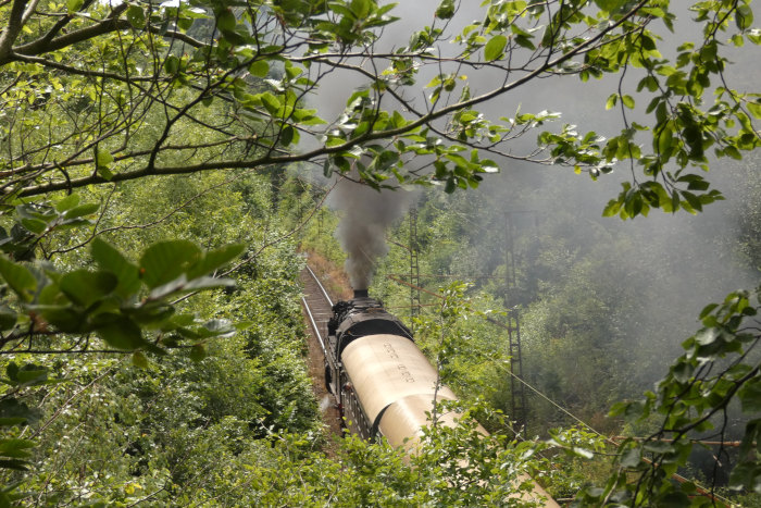 ein fotografischer Nachschuss auf 95&nbsp;027 mit Sonderzug auf der Rübelandbahn von Blankenburg kommend, im Einschnitt am Eichenberg, um 13:50h am 06.07.2024