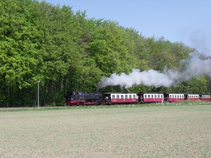 99&nbsp;2322&nbsp;Tv mit Zug Richtung Kühlungsborn, am Waldrand nördlich von Heiligendamm, um 13:08h am 24.04.2011
